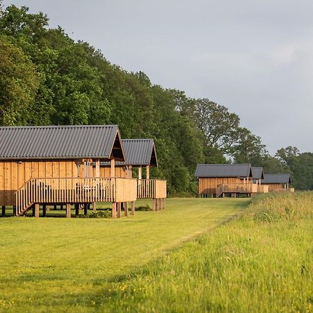 Composite Lodges With Shared Space In Drenthe Ruinerwold Ngoại thất bức ảnh