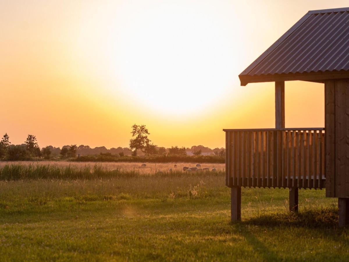 Composite Lodges With Shared Space In Drenthe Ruinerwold Ngoại thất bức ảnh