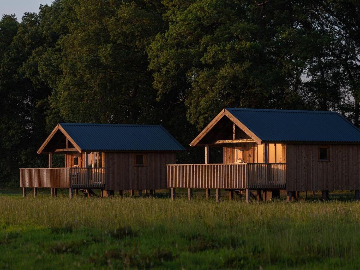 Composite Lodges With Shared Space In Drenthe Ruinerwold Ngoại thất bức ảnh