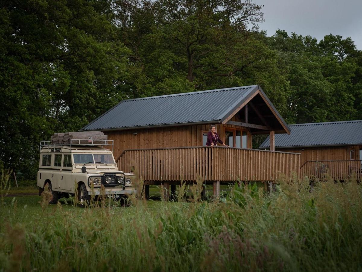 Composite Lodges With Shared Space In Drenthe Ruinerwold Ngoại thất bức ảnh