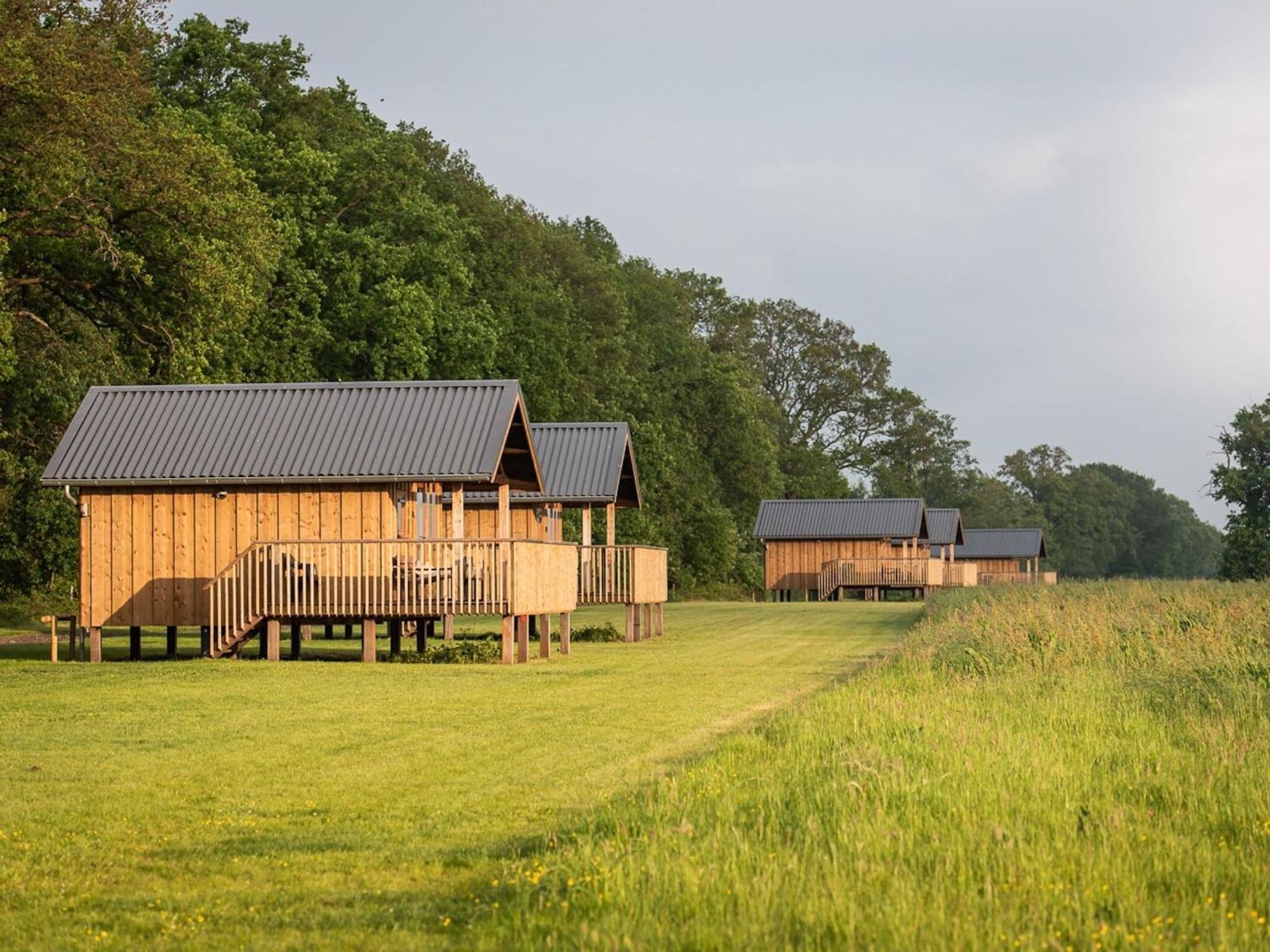 Composite Lodges With Shared Space In Drenthe Ruinerwold Ngoại thất bức ảnh