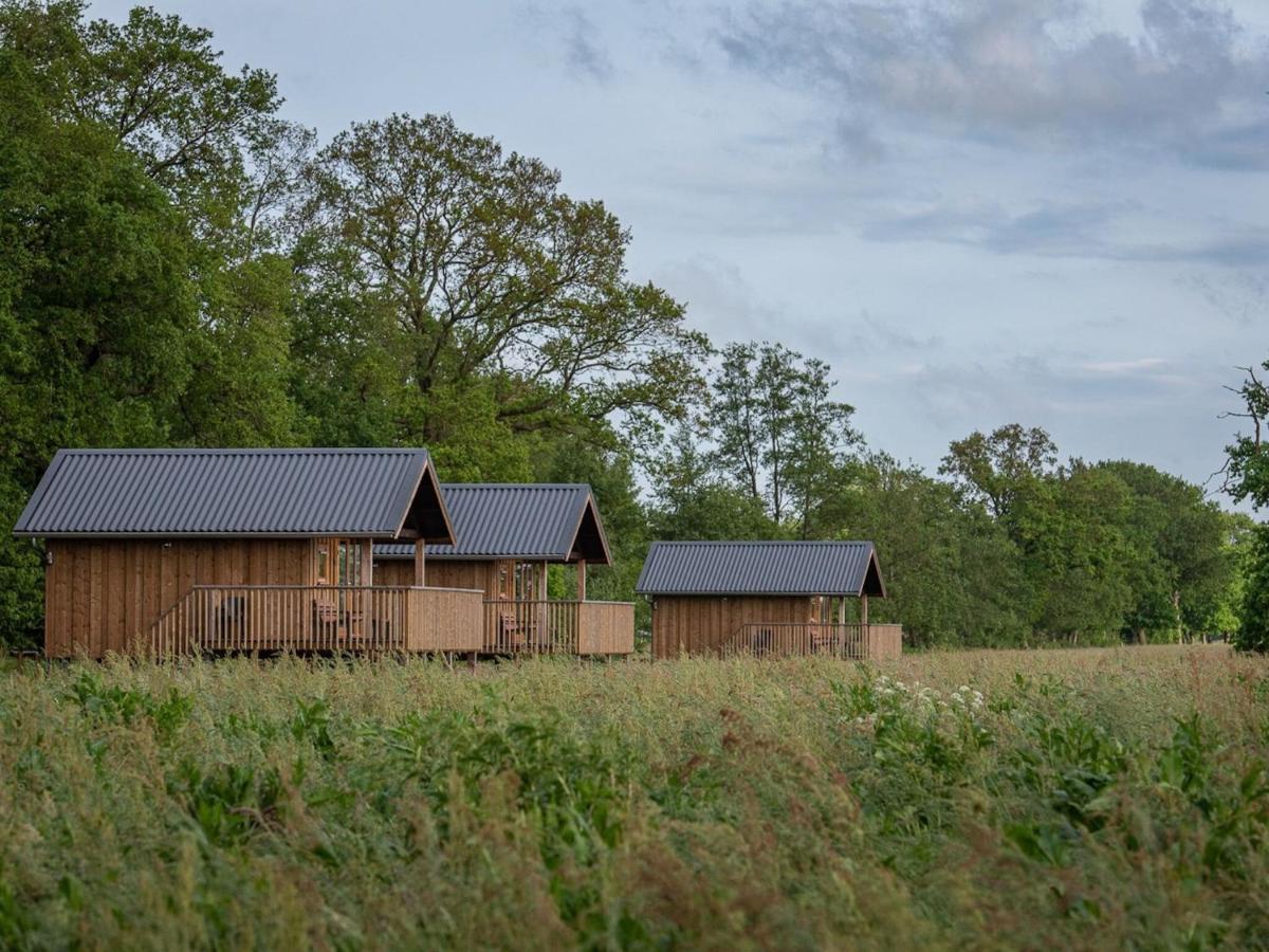 Composite Lodges With Shared Space In Drenthe Ruinerwold Ngoại thất bức ảnh